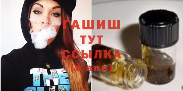 спайс Корсаков