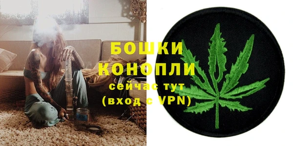 спайс Корсаков
