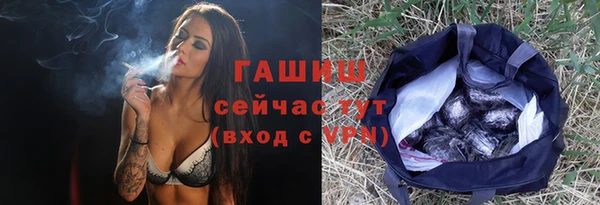 спайс Корсаков